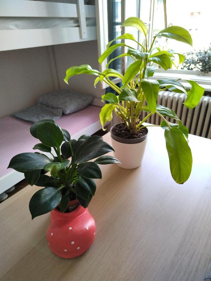 Monica'S House Hostel Beograd Bagian luar foto