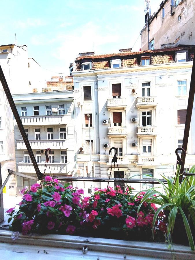 Monica'S House Hostel Beograd Bagian luar foto