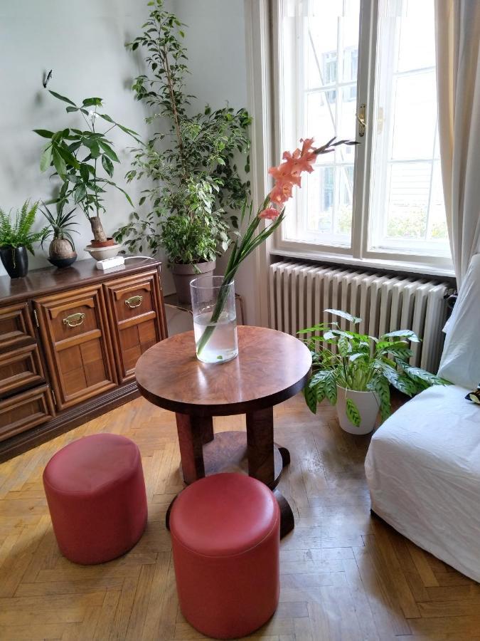 Monica'S House Hostel Beograd Bagian luar foto